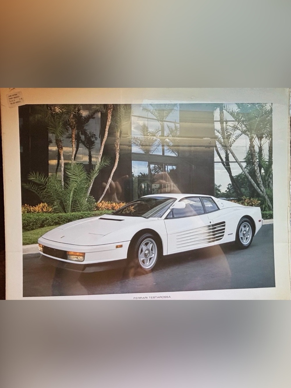 Vintage 1987 White Ferrari Testarossa Power Graphics Poster PG#953 16x20 NEW